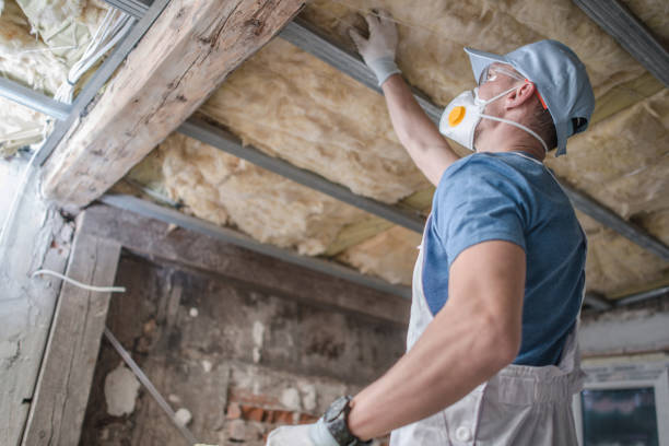 Best Insulation Maintenance and Repair in Prairie Creek, AR